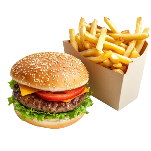 Cheese Burger & Fries